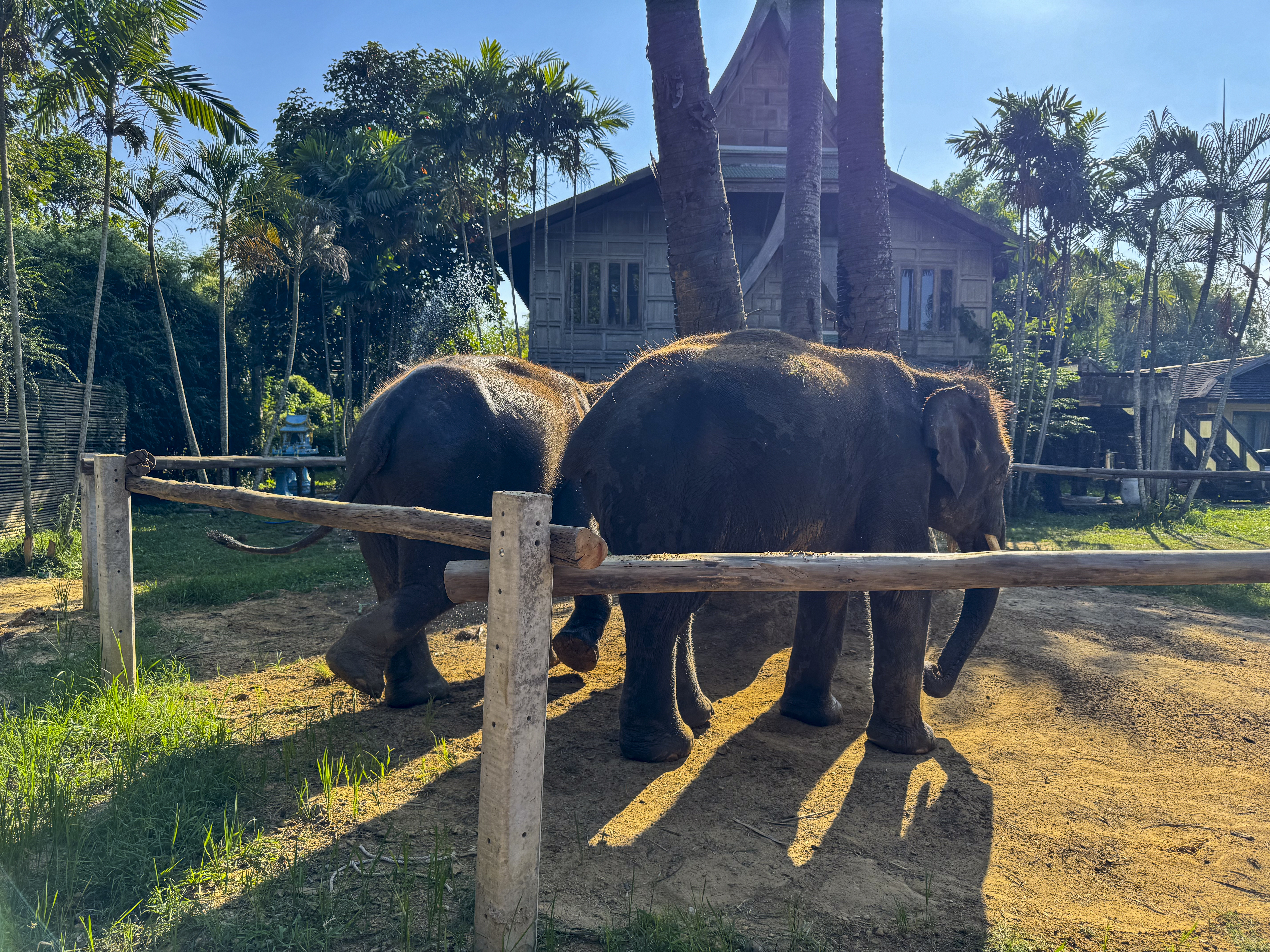 Safari Lagoi Bintan Pengalaman Nan Eksotis